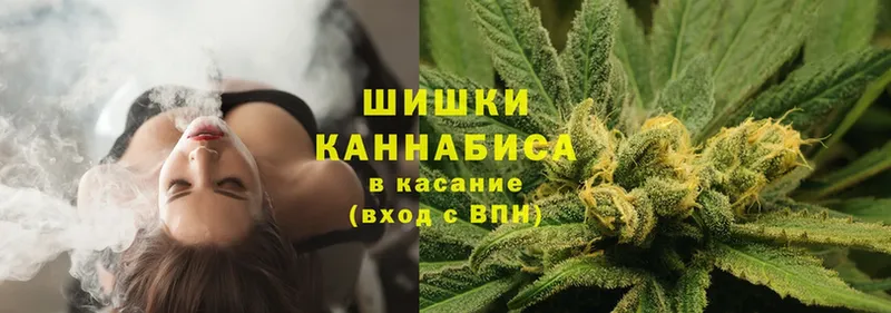 Каннабис сатива  Коммунар 